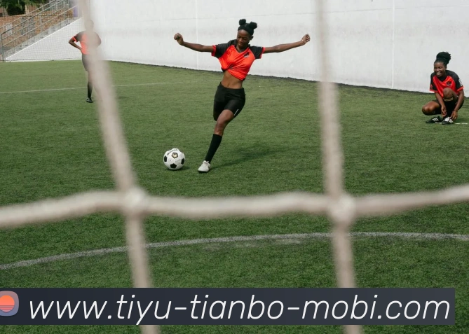 天博体育APP 高清赛事图